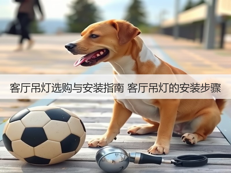客厅吊灯选购要点与安装位置全解析-窗帘视界