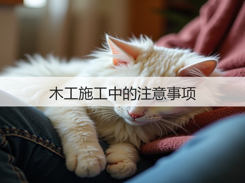 木工装修常见问题与技巧解析-窗帘视界