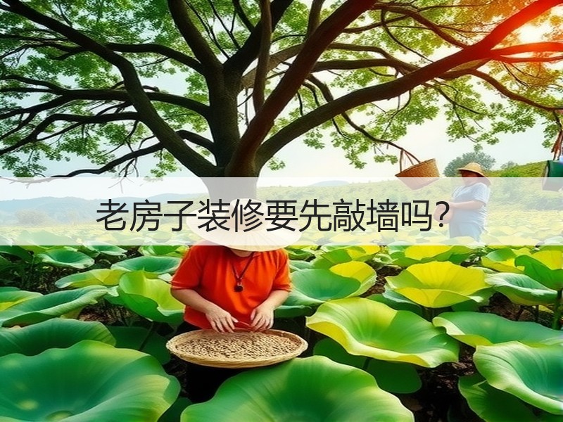 老房子装修是否需敲墙？需求与设计决定-窗帘视界