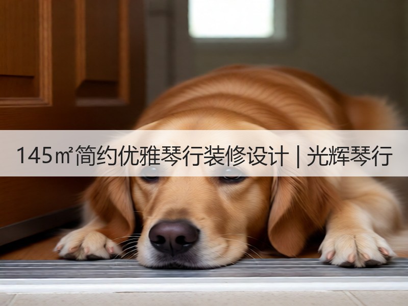 现代简约音乐商铺设计融合钢琴键小提琴元素-窗帘视界