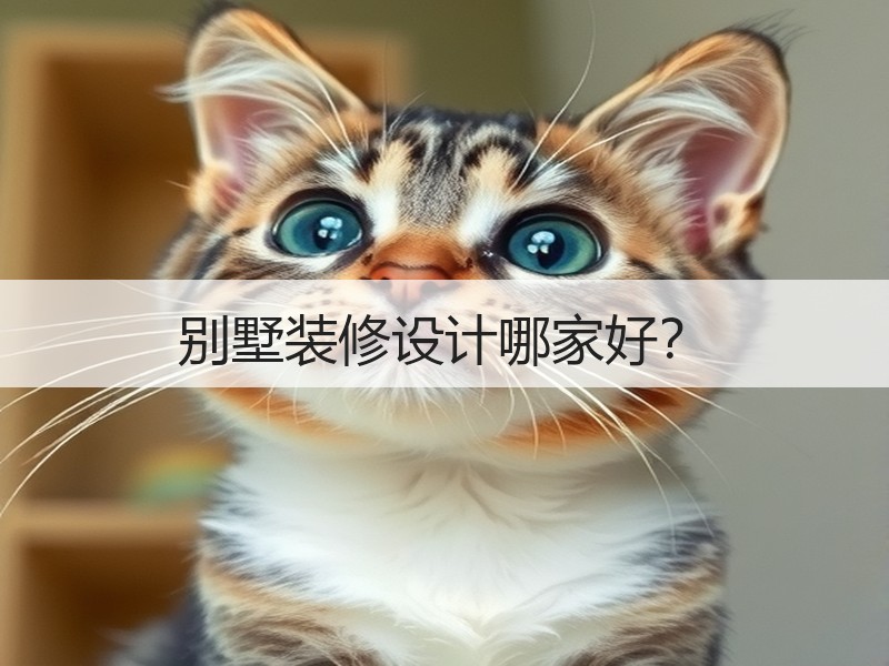 别墅装修设计选择要点与品质保障解析-窗帘视界