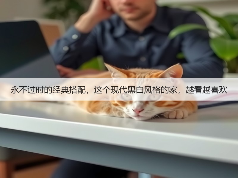 简约现代黑白风诠释品质生活美学-窗帘视界