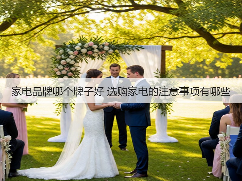 优质家电品牌选择与购买注意事项指南-窗帘视界