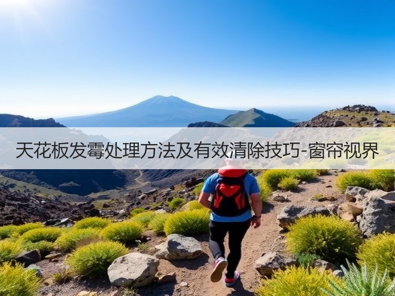 天花板发霉处理方法及有效清除技巧-窗帘视界
