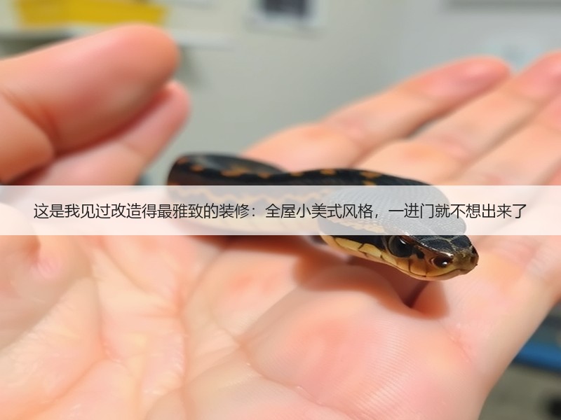 简美风格如何打造理想家居空间-窗帘视界